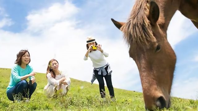 野生馬ガイド体験